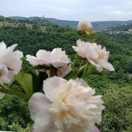 Apartmán Dervent Veliko Tarnovo